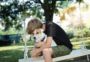 Dividing Personal Property after a Divorce: Pets
